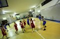 Basket 443040